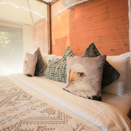 Tribe Yala - Luxury Camping Dış mekan fotoğraf