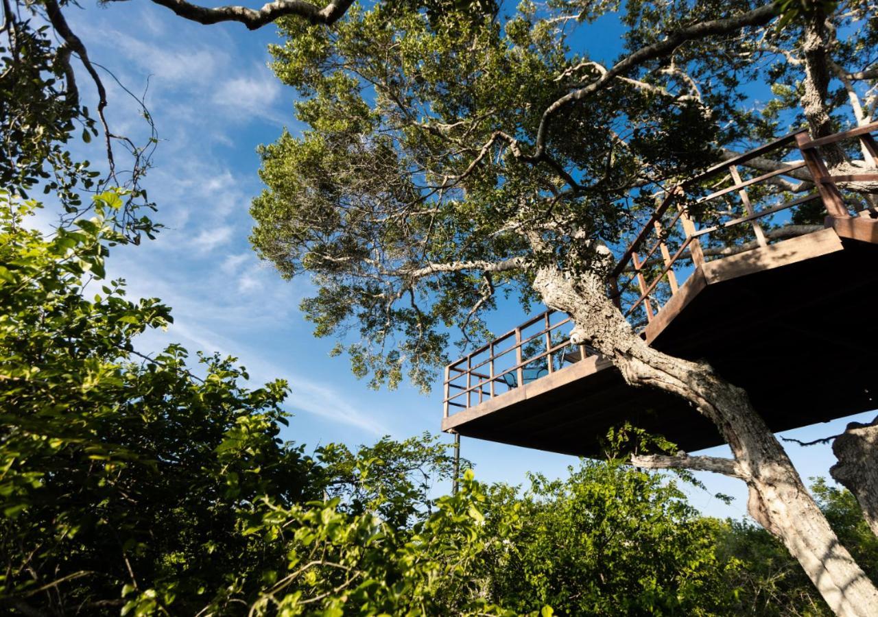 Tribe Yala - Luxury Camping Dış mekan fotoğraf
