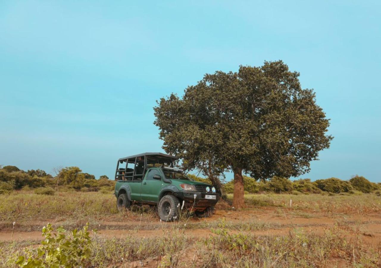 Tribe Yala - Luxury Camping Dış mekan fotoğraf