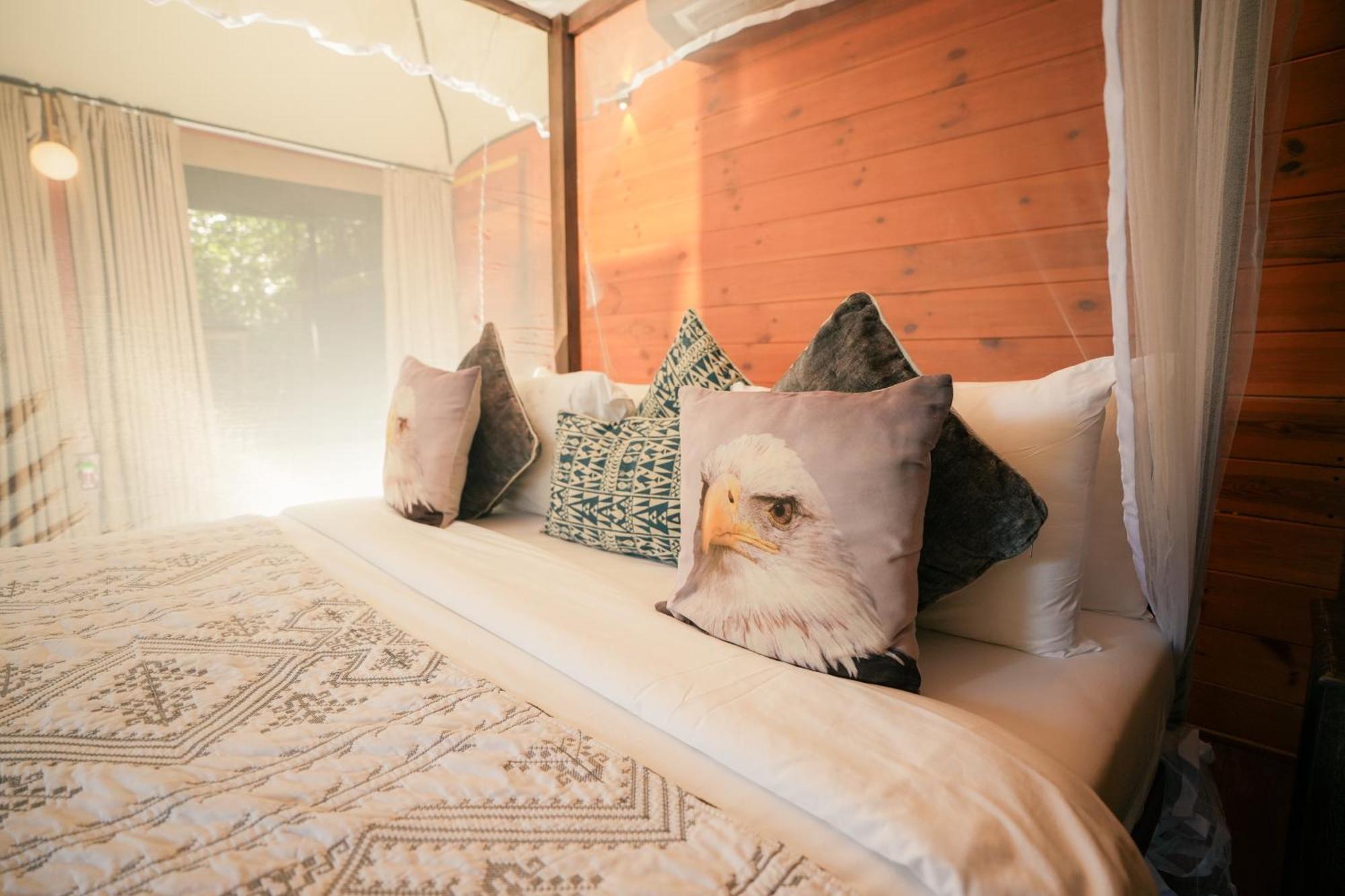 Tribe Yala - Luxury Camping Dış mekan fotoğraf